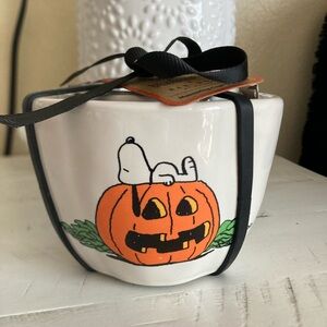 Peanut Snoopy Measuring Cups